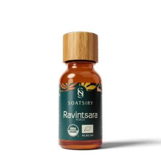 Huile essentielle de Ravintsara