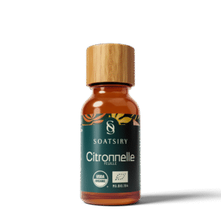 Huile essentielle de Citronelle