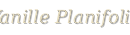 Vanille_Planifolia_text_premium